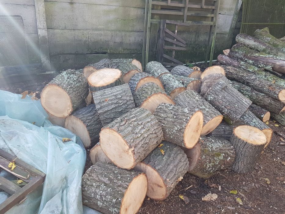 Lemn de foc uscat