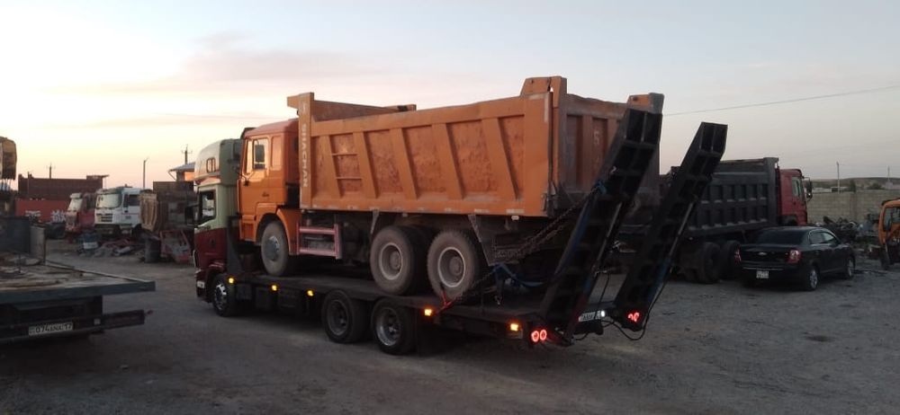 трал по городу с лапами