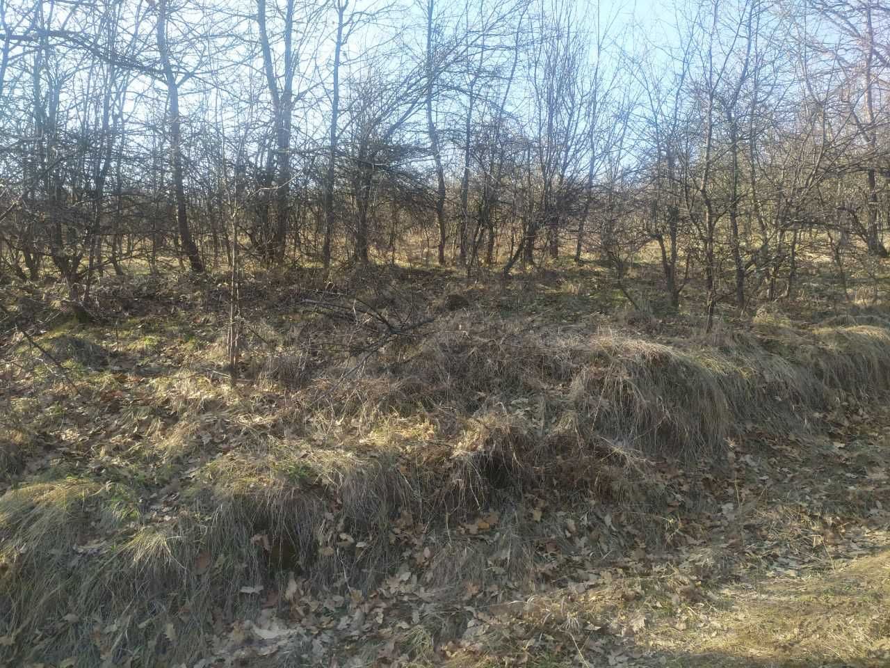 Продава се Земеделски имот в с. Войнежа, Област Велико Търново -  кв.м за 738 €/дка - Снимка #8
