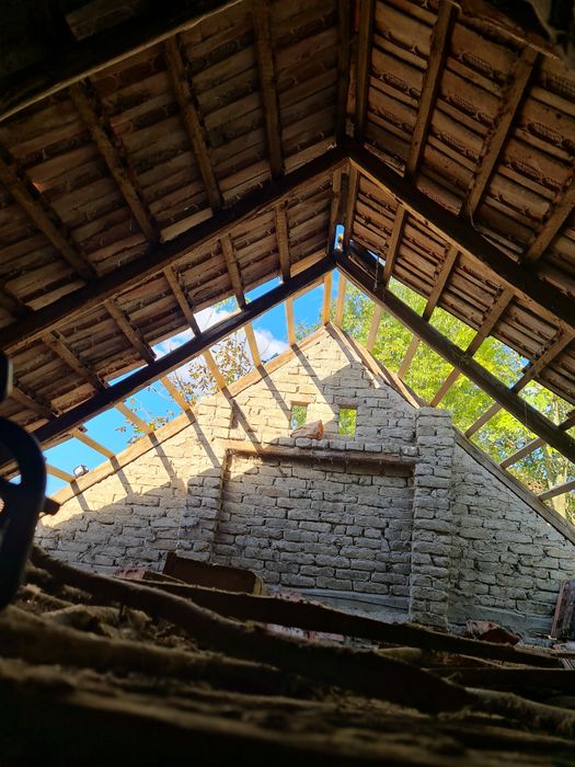 Alpinism utilitar, reparatii acoperis, demolat horn si toaletat copaci