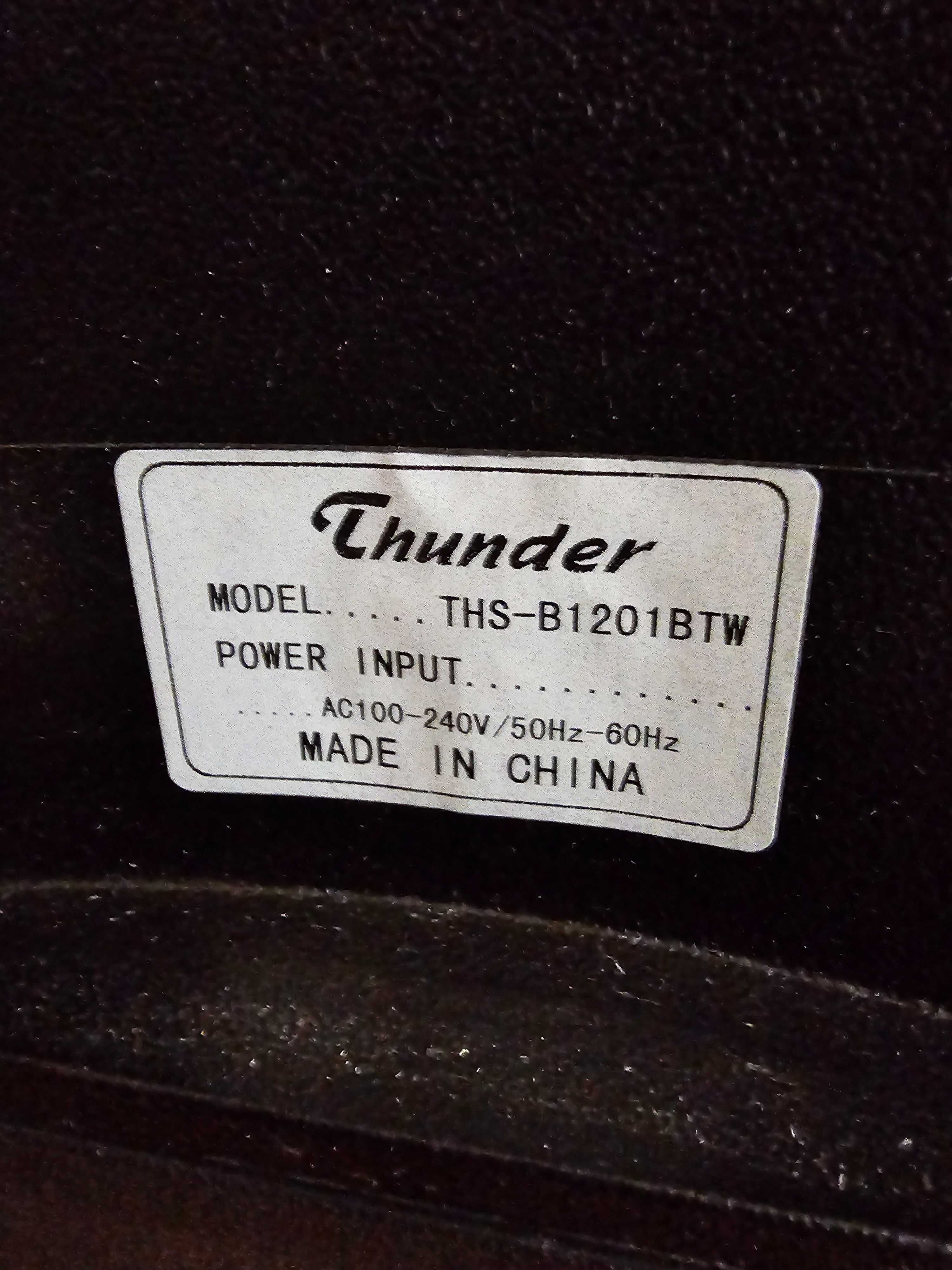Караоке тонколона Thunder 12 инча THS-B1201BTW с 2 безжични микрофона