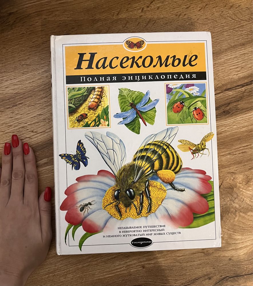 Энциклопедия. Насекомые