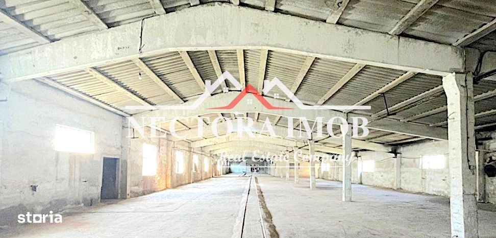 NECTORA IMOB-Hala industriala Gheghie, 2472 mp + 7145 mp teren, la E60