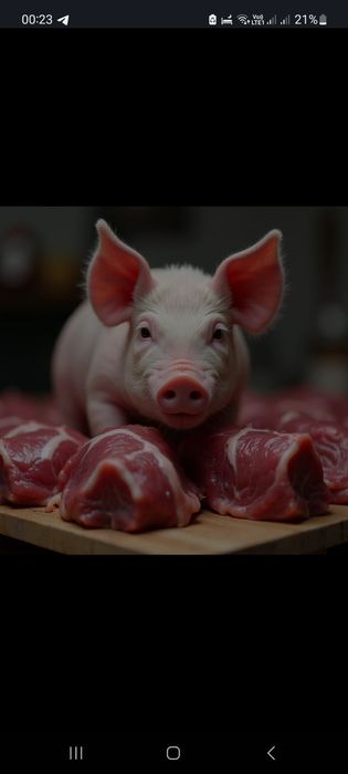 Режим свиней и поросят