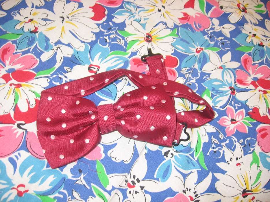 Papion rosu, grena, cu buline albe, sarbatori, NOU