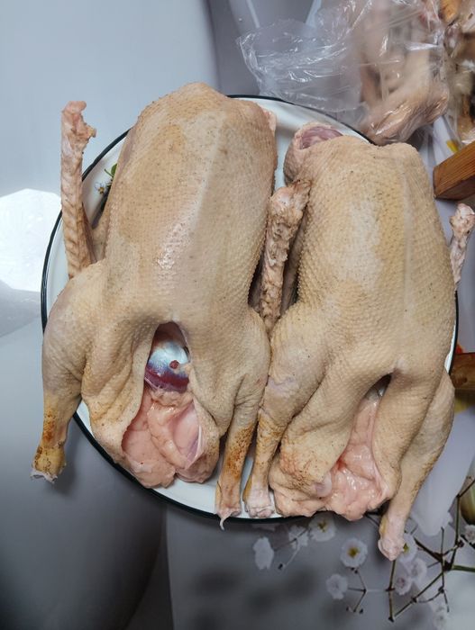 Продам мясо гусей