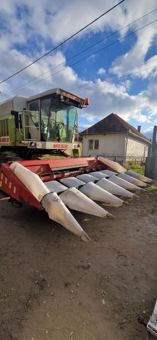 Masa de porumb header porumb oros