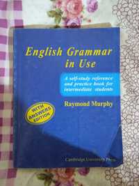 English Grammar in Use