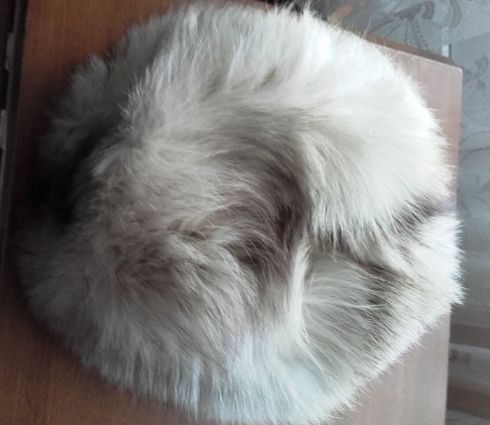 caciula din vulpe argintie