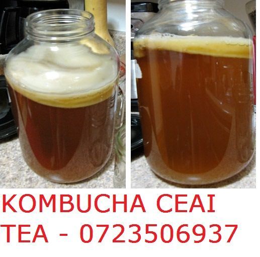 Kombucha, ciuperca kombucha, Ceai kombucha, kombucha tea, CeaiKombucha