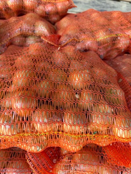 Продавам стар лук