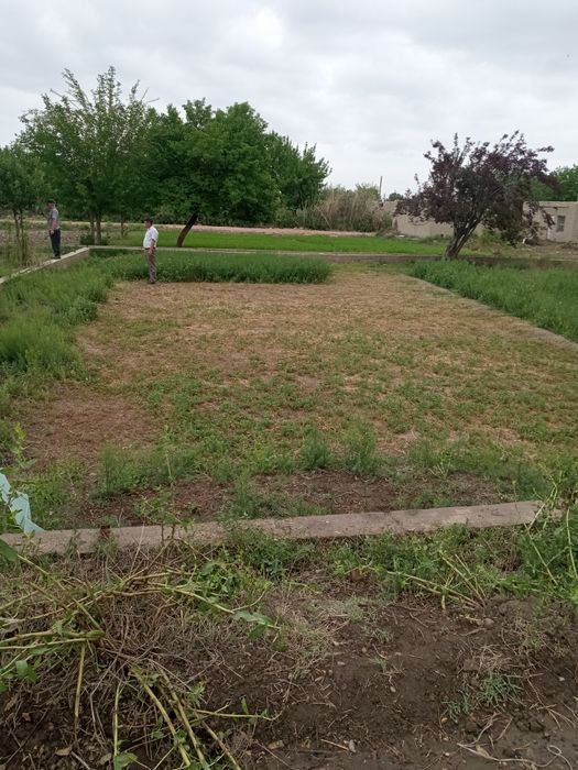 Дачный участок 5 соток