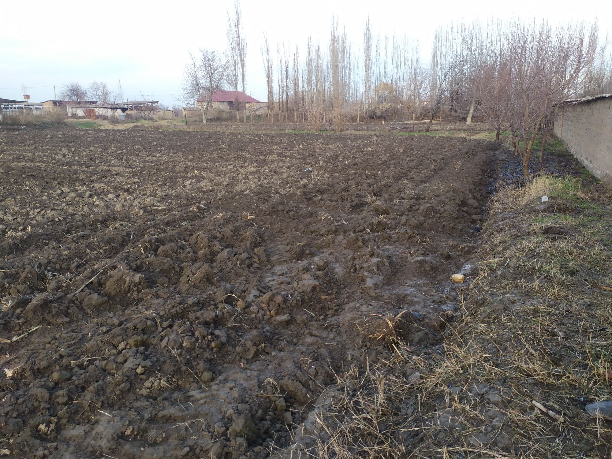 Toshkent viloyati quyichirchi tumani 5 bolim