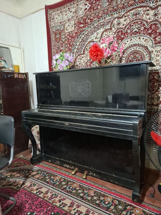 Pionina arginal belarus