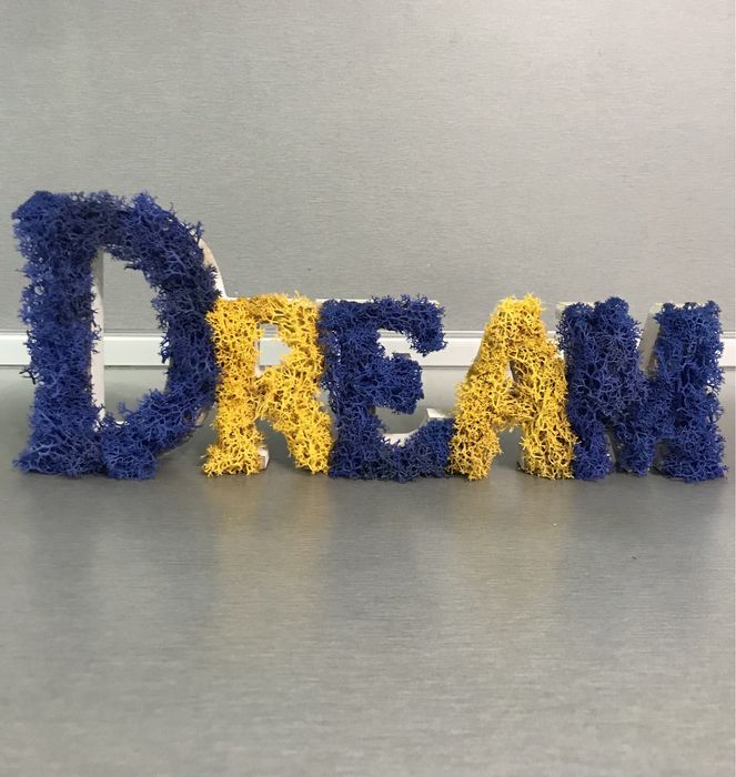 Декоративен надпис Dream със скандинавски мъх