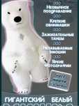 Мишка умка 2,6м бизнес