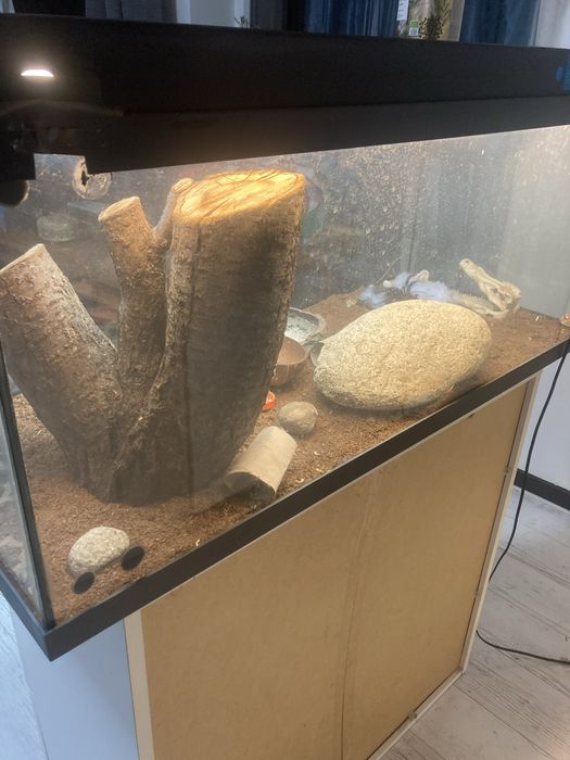 Acvariu/terrariu