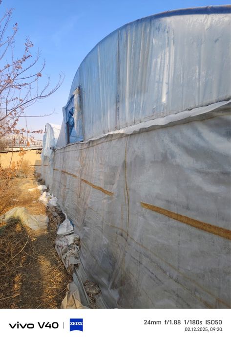 Теплица 15 сот сатылады