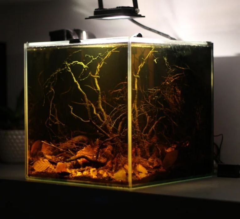 Acvarii/terarii la comandă pe măsură!