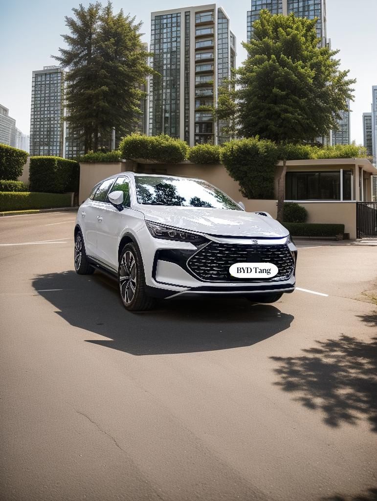 Водитель со своим авто BYD Tang DM-p