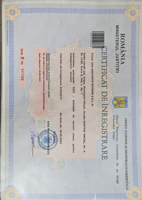 Tractări auto/Asistență rutieră