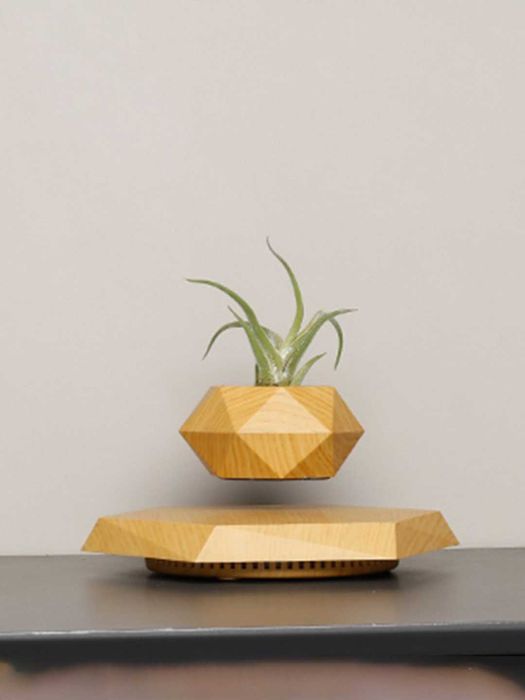 optim narxda havoda turadigan gul tuvak suinner bunaqa narx bizda