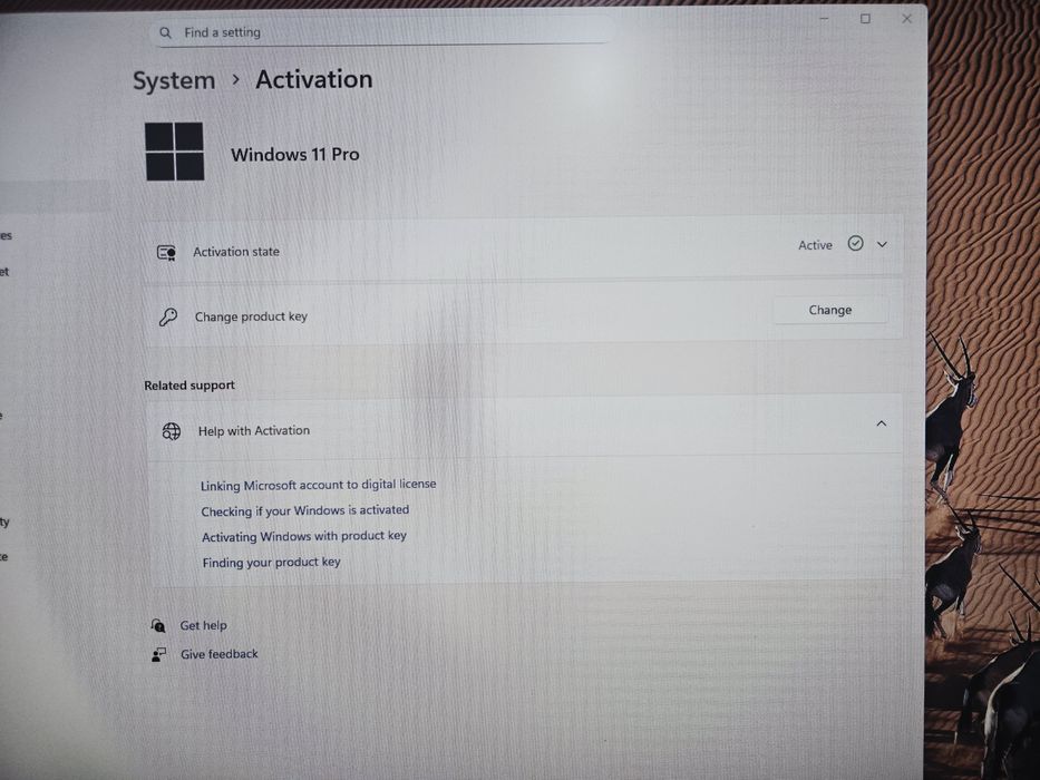 PC Gaming - i5 14400F - Nvidia RTX 2080 SUPER 8GB - 32GB DDR4 4000MHz