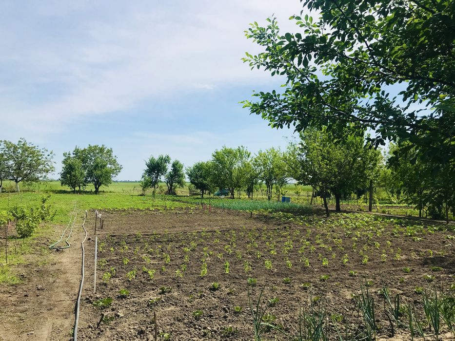 Casă de vânzare in Peciu Nou, la 17 km de Timișoara