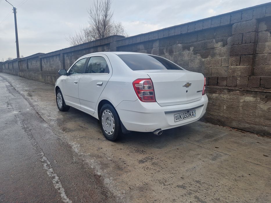 Cobalt Mexanika 2013