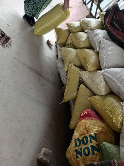 Qora Semichka sotilad