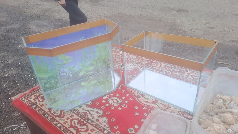 Продается аквариум