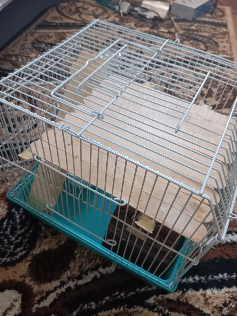 Doua custi hamster cu accesorii
