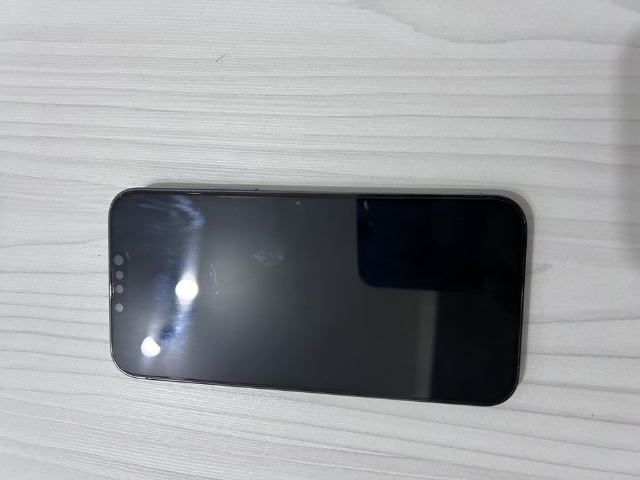 Iphone 13 pro max 1 terra