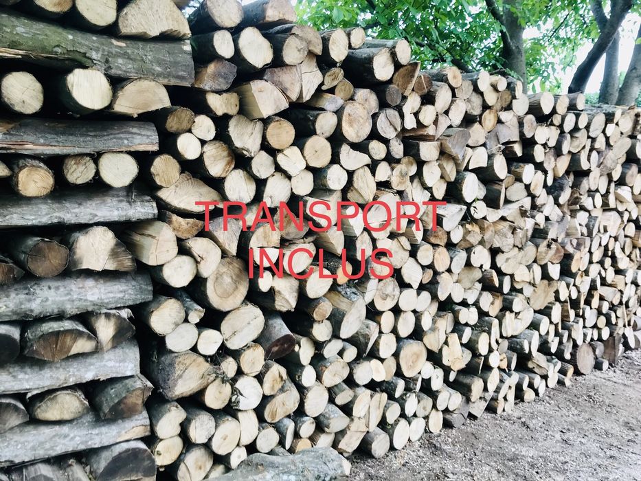 Lemne de foc,fag,taiate la metru sau la dim dorita!