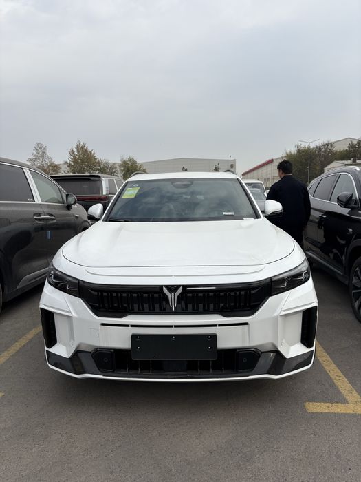 Voyah free 318 / appoo tech