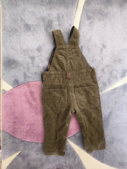 кадифен гащеризон