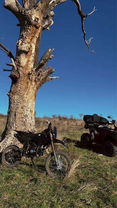 Vând motocross 140cc Kxd panther