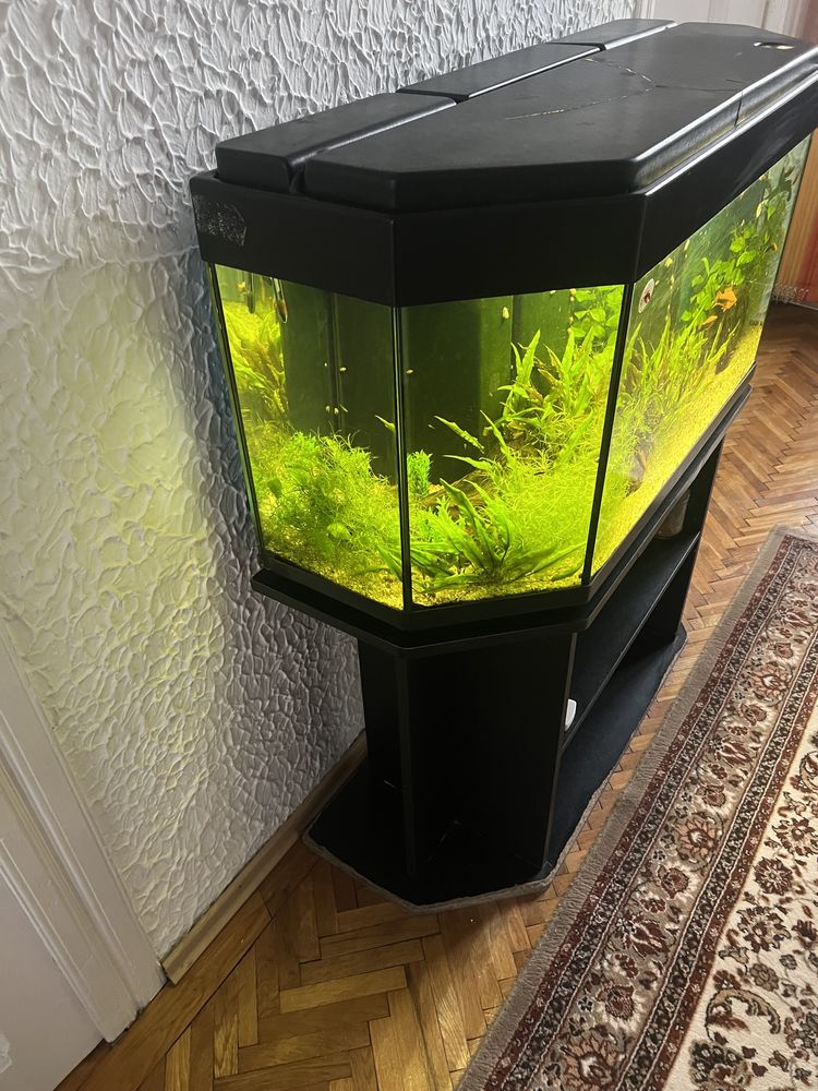 Acvariu 100 L cu stand