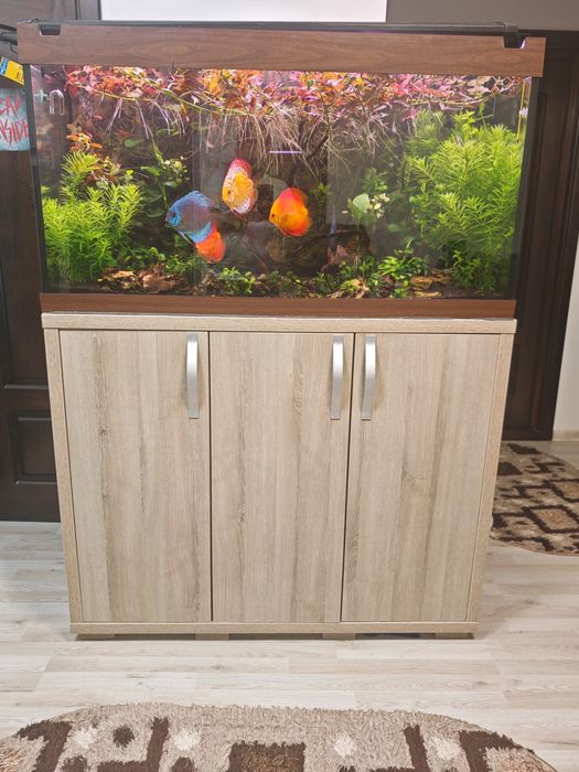 Acvariu Juwel 300 + mobilier + lampa Odyssea cu 4 neoane