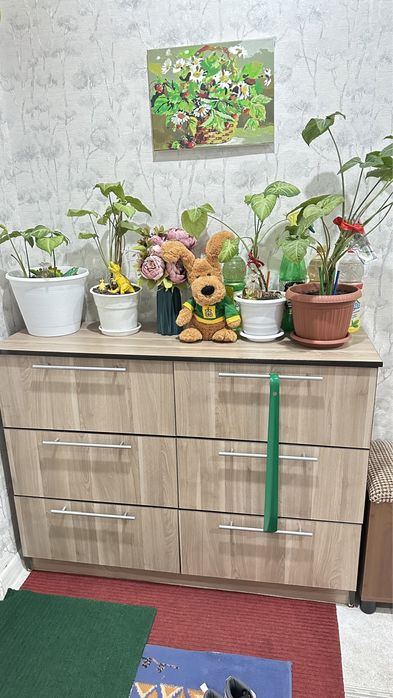 Срочно продам обувницу в идеальном состояний. 30000 тг