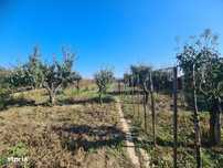 Teren intravilan 1100 mp, 18 ml , Calea Moldovei, Bacau