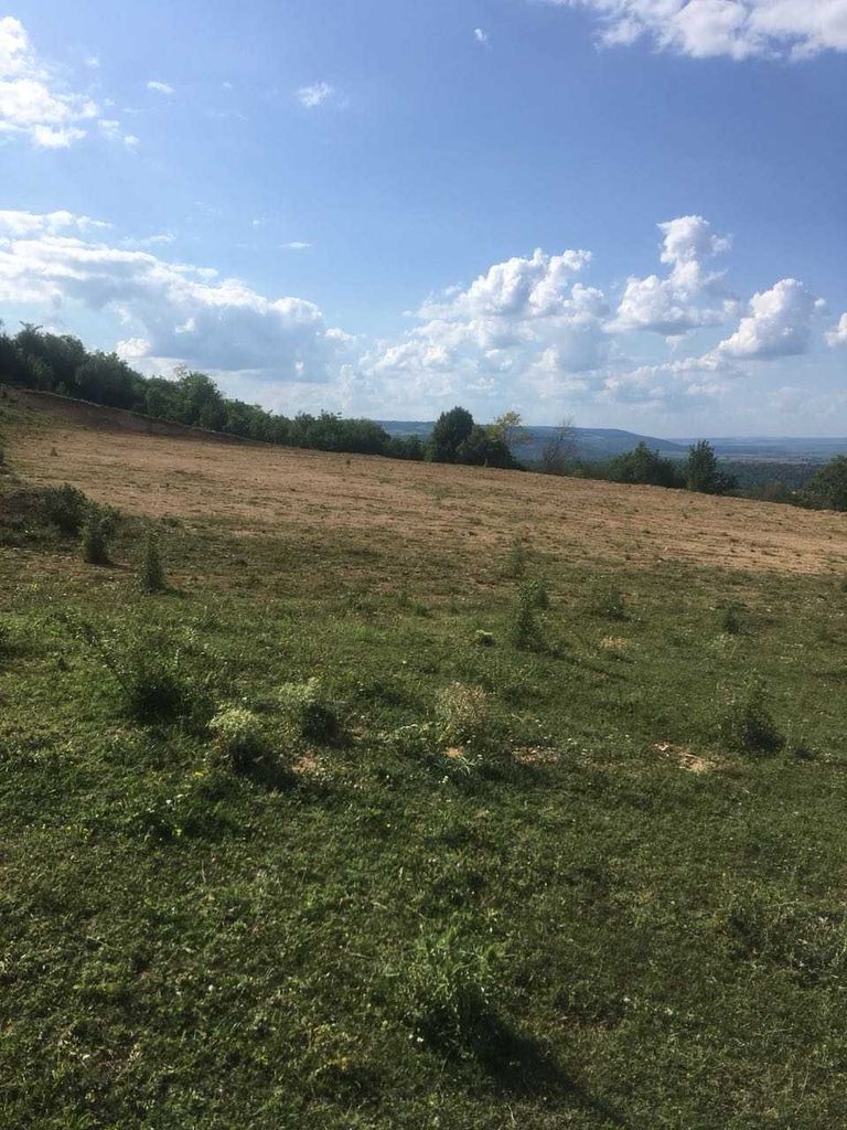 Продава се Парцел в с. Стража, Област Търговище - 1100 кв.м за 7 €/кв.м - Снимка #5