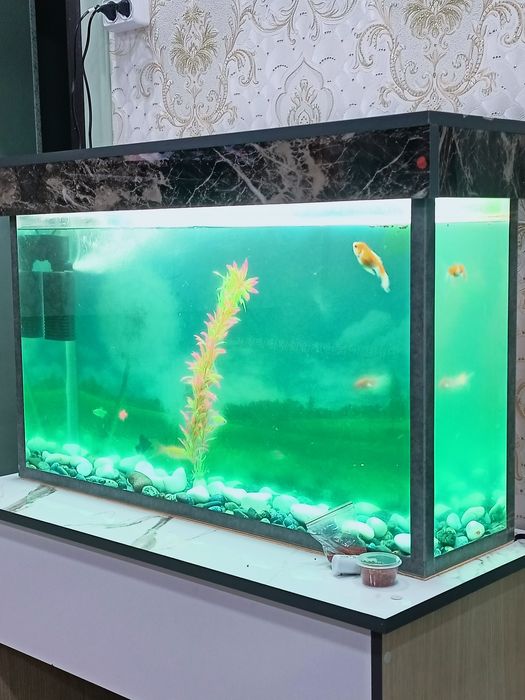 Аквариум сотилади баликчалари Билан 9 та балик размер акварум 90х50х20
