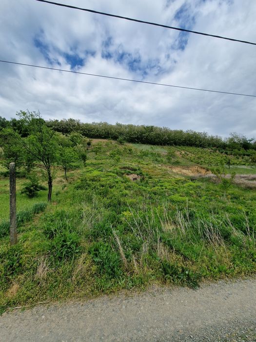 Vand teren intravilan ideal pentru cabana sau corturi glamping