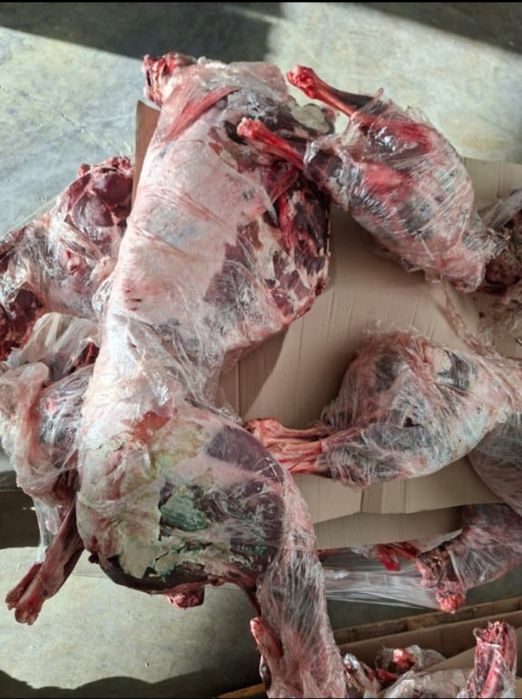 Мясо сайгака оптом и в розницу. Вкусное и свежее мясо.