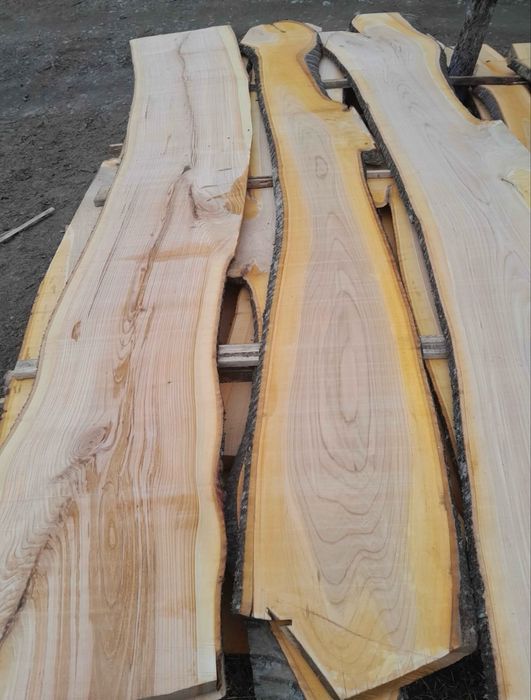 Scândura cireș si tei