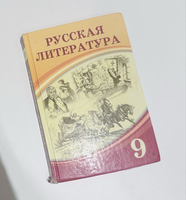 Книга по русской литературе 9 класс