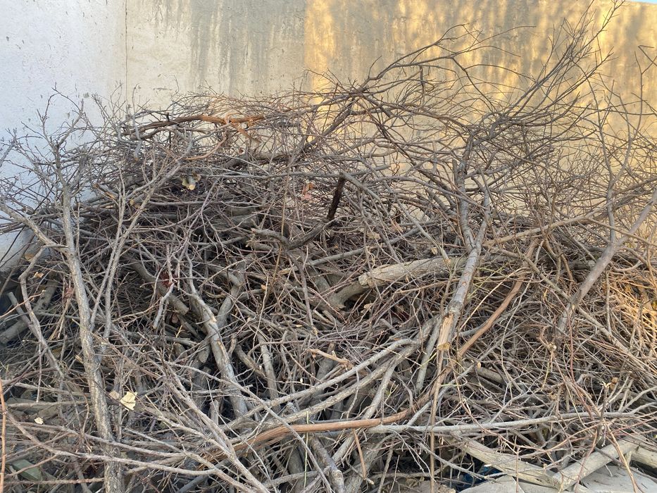 Утин бор,продаются дрова