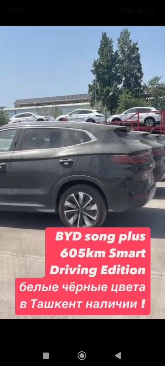 Byd  song smart   ayselda   nomilaga chiqadi