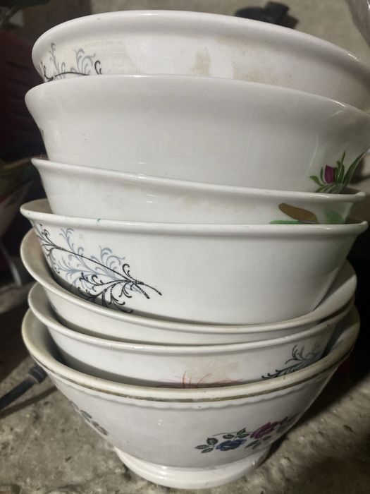 Косалар ва мейвадон